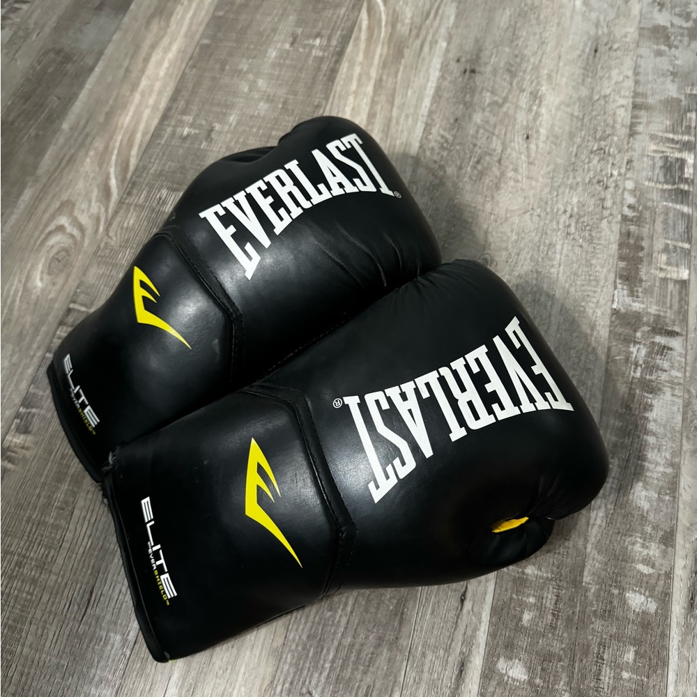 Everlast Boxing Gloves